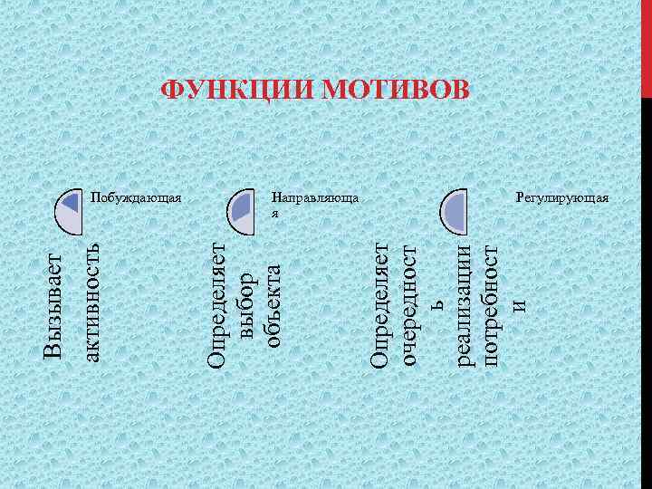 Направляюща я Определяет очередност ь реализации потребност и Побуждающая Определяет выбор объекта активность Вызывает