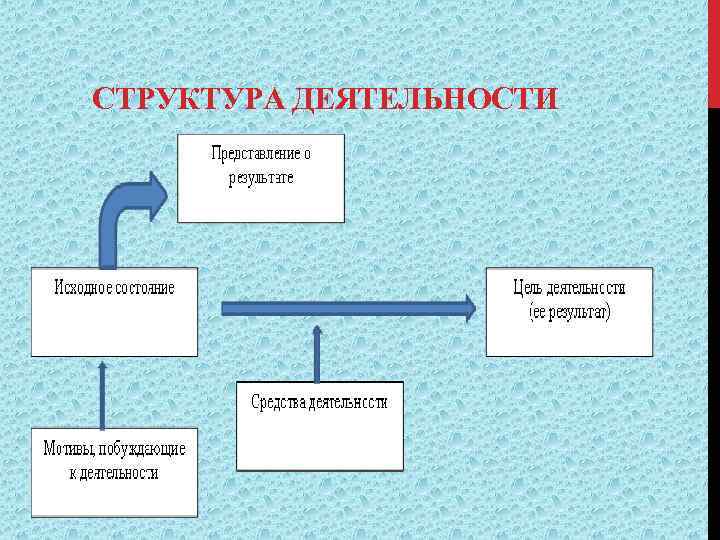 СТРУКТУРА ДЕЯТЕЛЬНОСТИ 