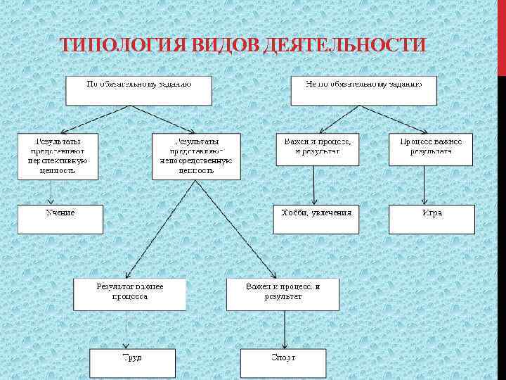 ТИПОЛОГИЯ ВИДОВ ДЕЯТЕЛЬНОСТИ 