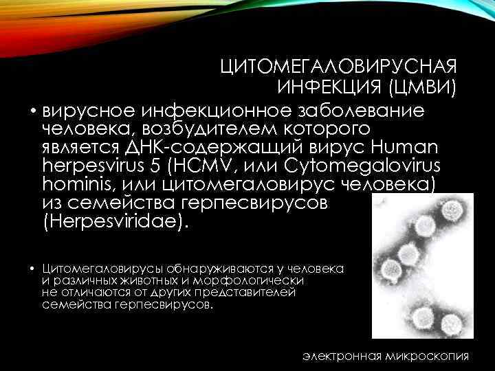 ЦИТОМЕГАЛОВИРУСНАЯ ИНФЕКЦИЯ (ЦМВИ) • вирусное инфекционное заболевание человека, возбудителем которого является ДНК-содержащий вирус Human