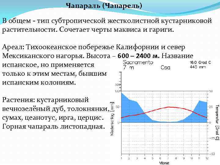 Чапараль (Чапарель) В общем - тип субтропической жестколистной кустарниковой растительности. Сочетает черты маквиса и