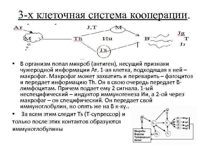 Система кооперации