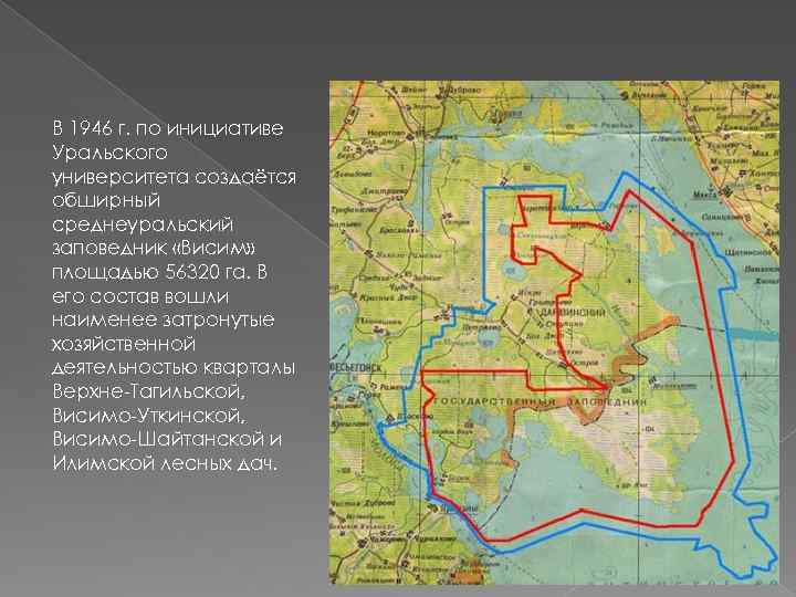 В 1946 г. по инициативе Уральского университета создаётся обширный среднеуральский заповедник «Висим» площадью 56320