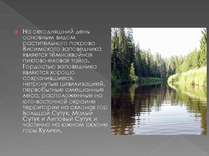  На сегодняшний день основным видом растительного покрова Висимского заповедника является тёмнохвойная пихтово-еловая тайга.