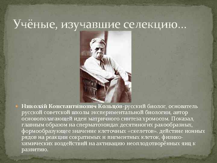 Учёные, изучавшие селекцию… Никола й Константи нович Кольцо в-русский биолог, основатель русской советской школы