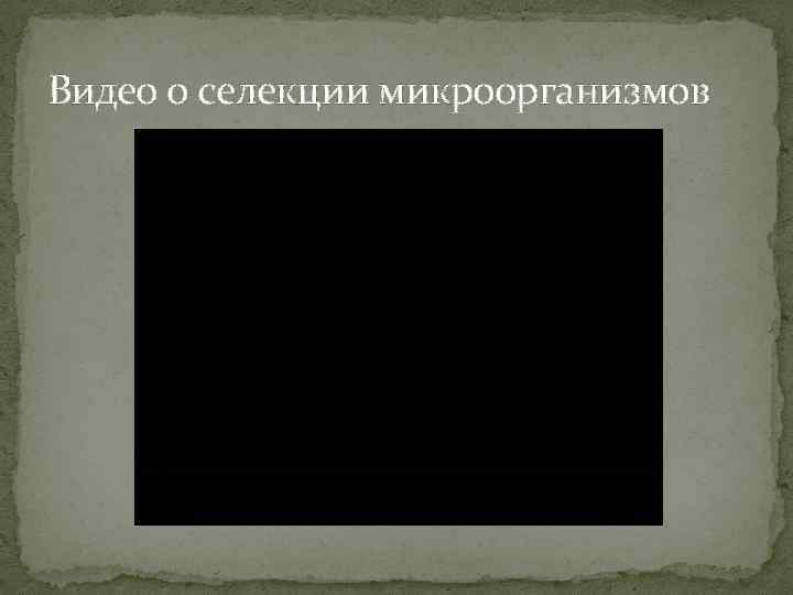 Видео о селекции микроорганизмов 