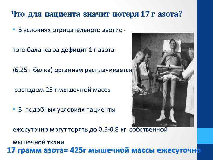 Что для пациента значит потеря 17 г азота? • В условиях отрицательного азотис того