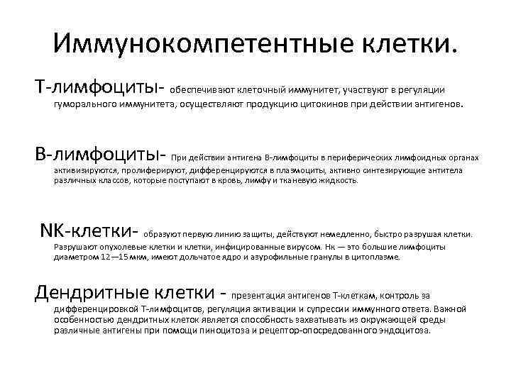 Иммунокомпетентные клетки. Т-лимфоциты- обеспечивают клеточный иммунитет, участвуют в регуляции гуморального иммунитета, осуществляют продукцию цитокинов