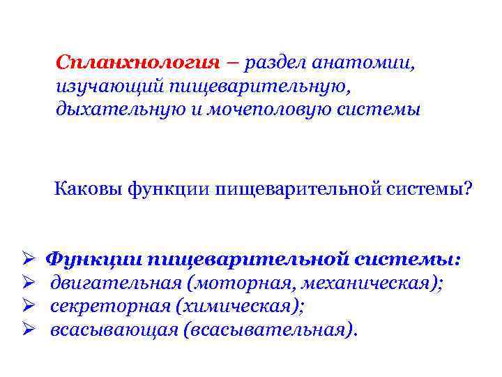 Спланхнология – раздел анатомии, изучающий пищеварительную, дыхательную и мочеполовую системы Каковы функции пищеварительной системы?