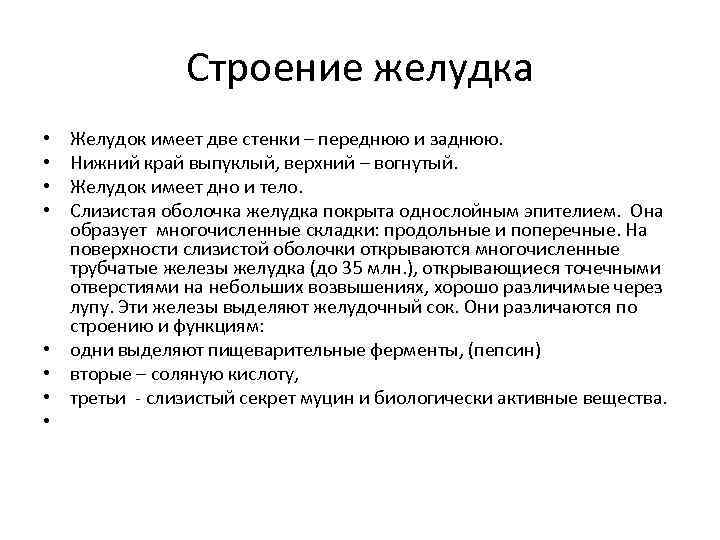 Строение желудка • • Желудок имеет две стенки – переднюю и заднюю. Нижний край