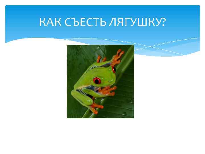 КАК СЪЕСТЬ ЛЯГУШКУ? 