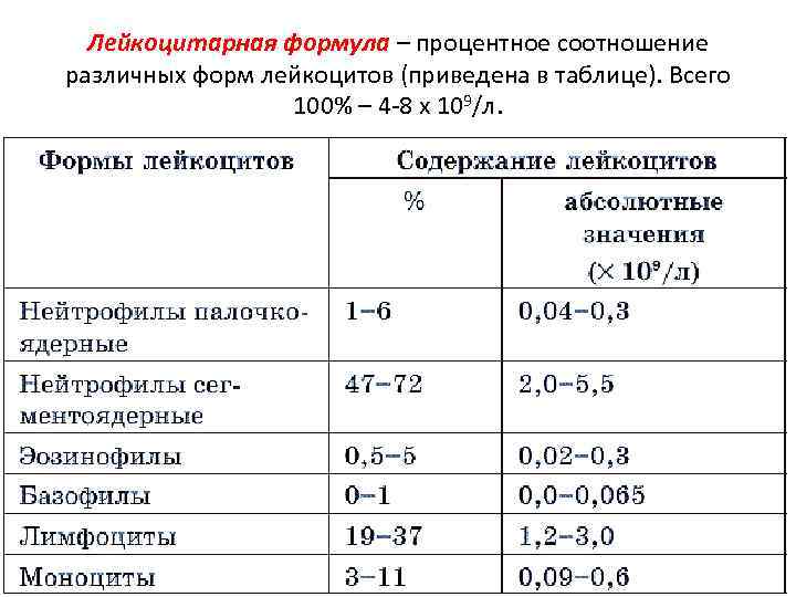 Лейкоцитарная формула – процентное соотношение различных форм лейкоцитов (приведена в таблице). Всего 100% –