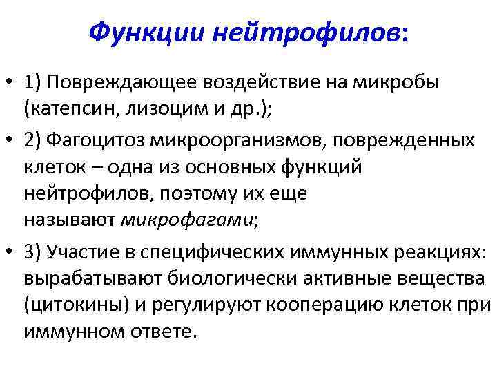 Функции нейтрофилов: • 1) Повреждающее воздействие на микробы (катепсин, лизоцим и др. ); •