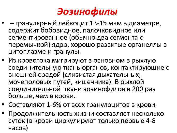 Эозинофилы • – гранулярный лейкоцит 13 -15 мкм в диаметре, содержит бобовидное, палочковидное или