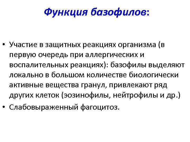 Функция базофилов: • Участие в защитных реакциях организма (в первую очередь при аллергических и