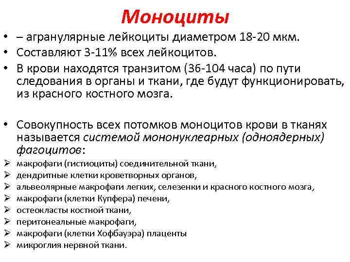 Моноциты • – агранулярные лейкоциты диаметром 18 -20 мкм. • Составляют 3 -11% всех