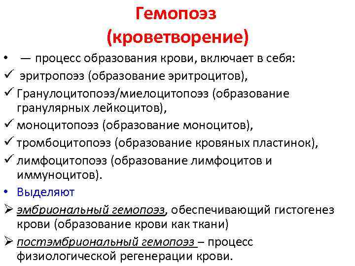 Гемопоэз (кроветворение) • — процесс образования крови, включает в себя: ü эритропоэз (образование эритроцитов),