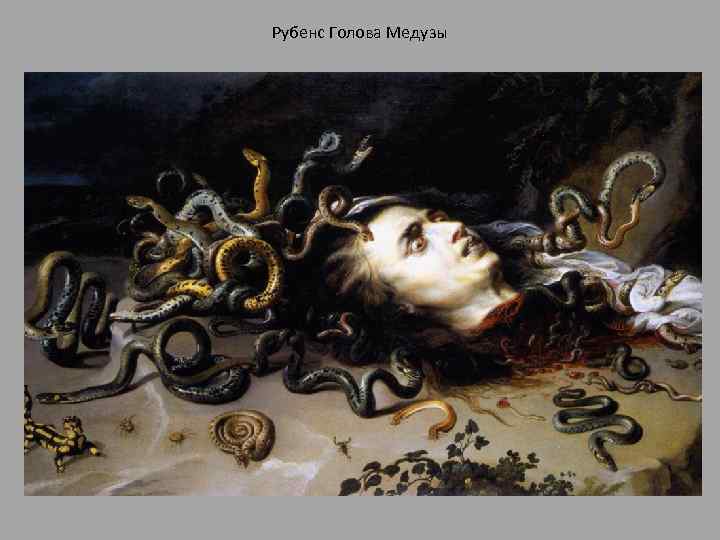 Рубенс Голова Медузы 