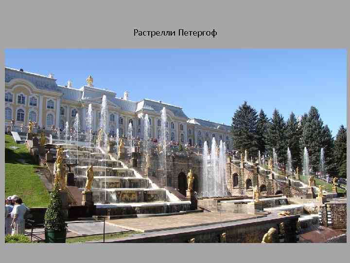 Растрелли Петергоф 