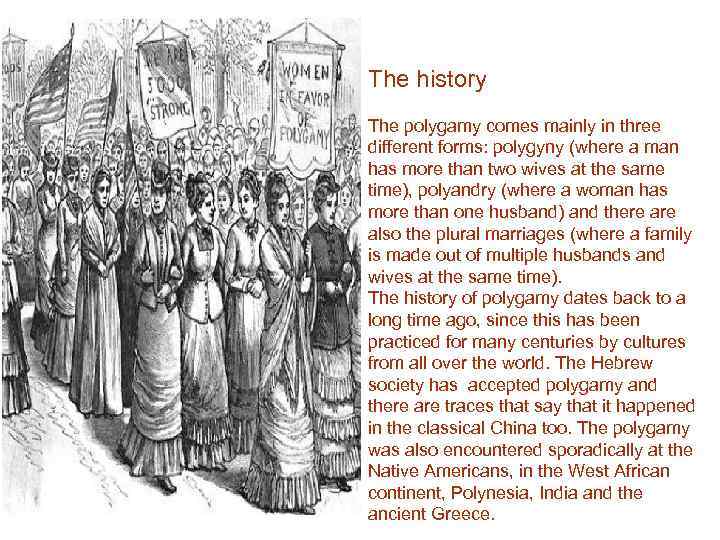 Polygamy The History The Polygamy Comes Mainly 0483
