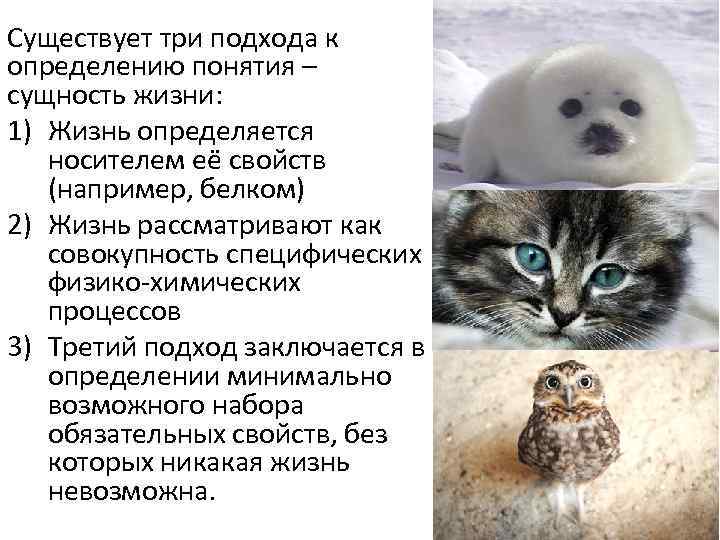 Существует три подхода к определению понятия – сущность жизни: 1) Жизнь определяется носителем её