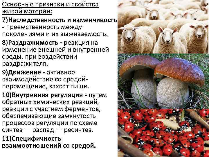 Основные признаки и свойства живой материи: 7)Наследственность и изменчивость - преемственность между поколениями и