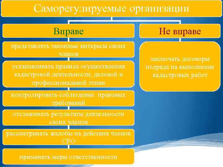 Саморегулируемые организации Вправе представлять законные интересы своих членов устанавливать правила осуществления кадастровой деятельности, деловой