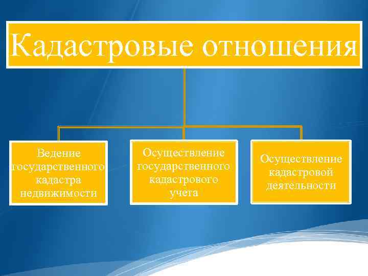 Виды кадастровых. Структура кадастровых отношений. Участники кадастровых отношений. Осуществление кадастровых отношений. Структура кадастровой деятельности.