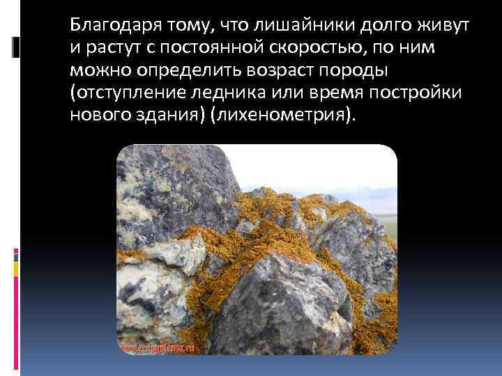 Благодаря тому, что лишайники долго живут и растут с постоянной скоростью, по ним можно