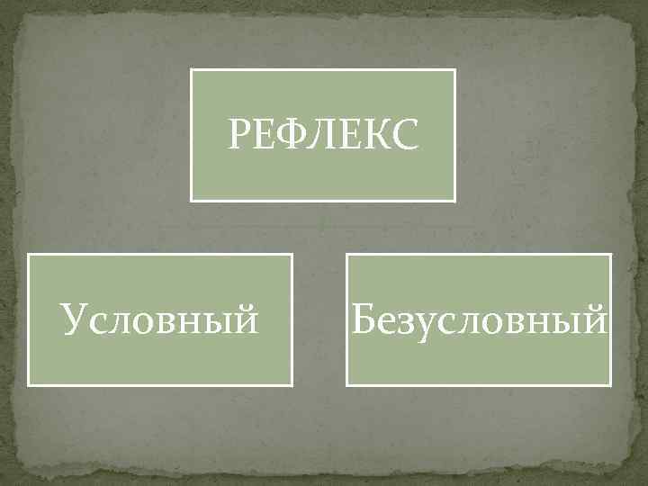 РЕФЛЕКС Условный Безусловный 