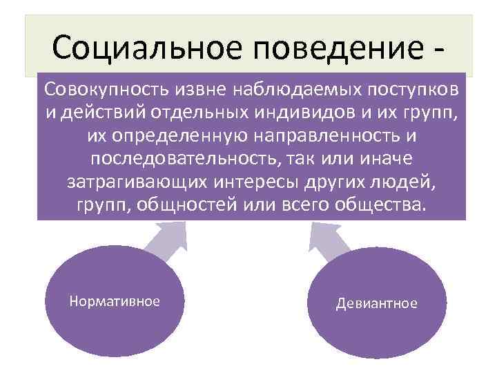 Совокупность отдельных лиц групп и или организаций привлеченных к выполнению работ проекта