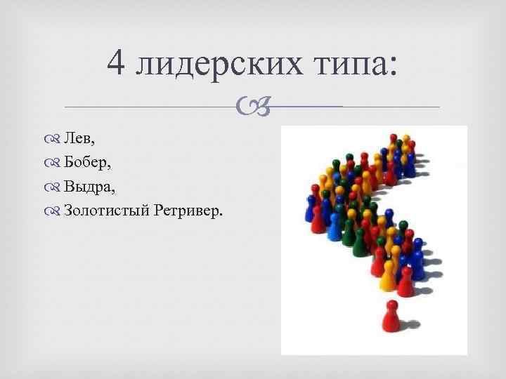 4 лидерских типа: Лев, Бобер, Выдра, Золотистый Ретривер. 