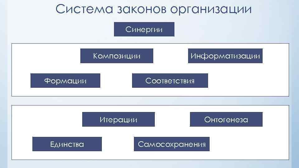 Система законов организации Синергии Композиции Формации Соответствия Итерации Единства Информатизации Онтогенеза Самосохранения 