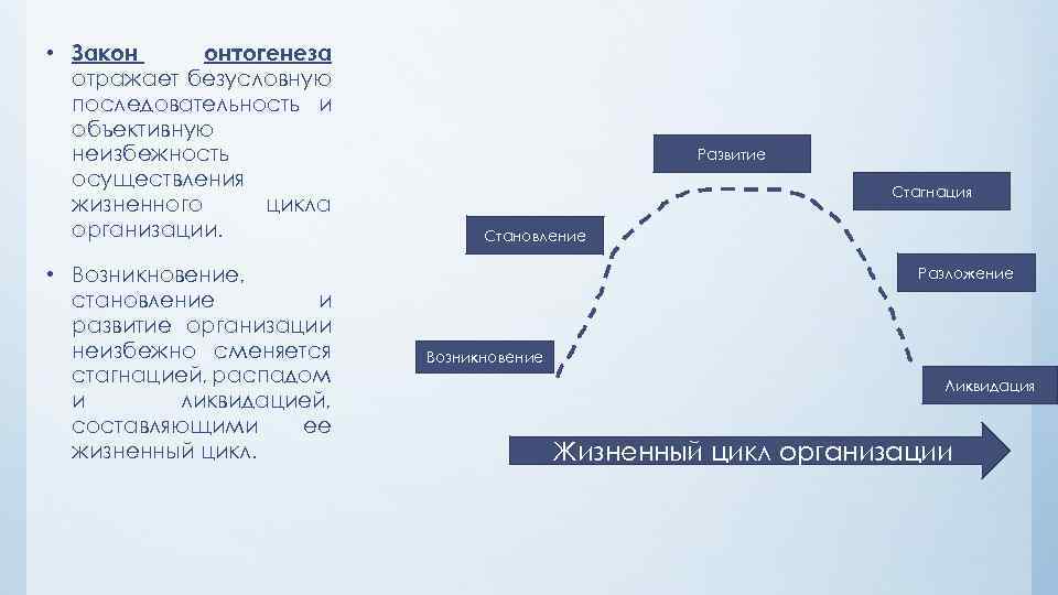  • Закон онтогенеза отражает безусловную последовательность и объективную неизбежность осуществления жизненного цикла организации.