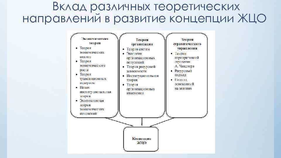 Вклад различных теоретических направлений в развитие концепции ЖЦО 