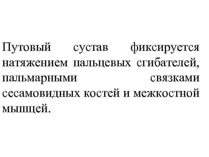 Путовый сустав фиксируется натяжением пальцевых сгибателей, пальмарными связками сесамовидных костей и межкостной мышцей. 