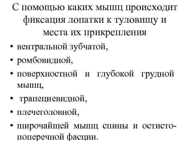 С помощью каких мышц происходит фиксация лопатки к туловищу и места их прикрепления •