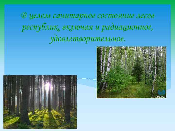 В целом санитарное состояние лесов республик, включая и радиационное, удовлетворительное. 