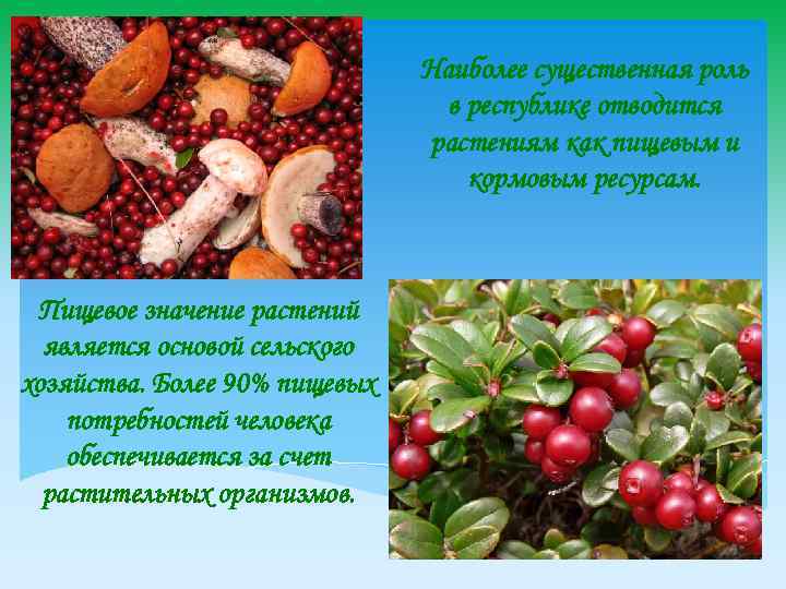 Наиболее существенная роль в республике отводится растениям как пищевым и кормовым ресурсам. Пищевое значение