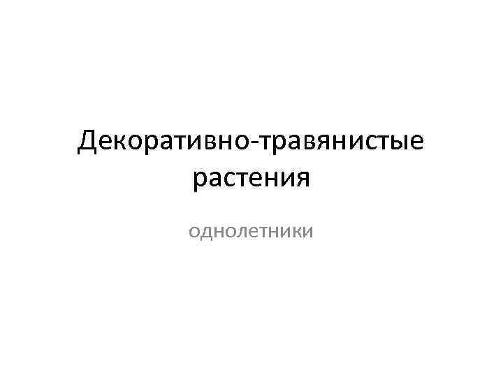 Декоративно-травянистые растения однолетники 