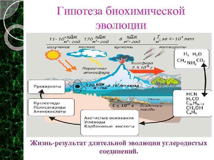 Гипотеза биохимической эволюции Жизнь-результат длительной эволюции углеродистых соединений. 