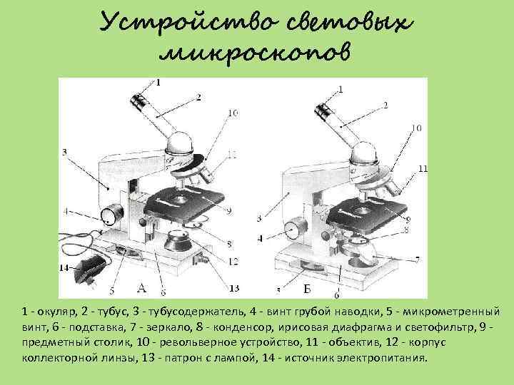 Устройство световых микроскопов 1 - окуляр, 2 - тубус, 3 - тубусодержатель, 4 -