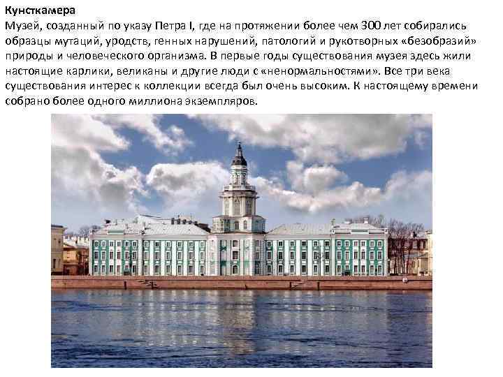 Кунсткамера Музей, созданный по указу Петра I, где на протяжении более чем 300 лет