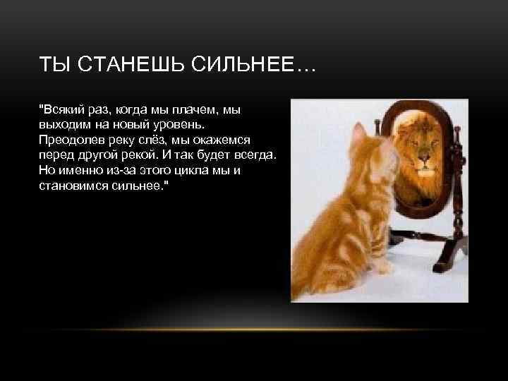 ТЫ СТАНЕШЬ СИЛЬНЕЕ… "Всякий раз, когда мы плачем, мы выходим на новый уровень. Преодолев