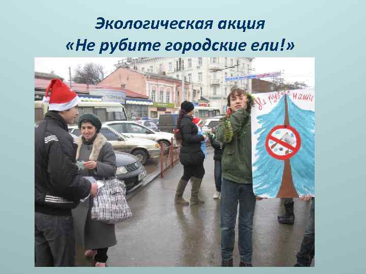 Экологическая акция «Не рубите городские ели!» 