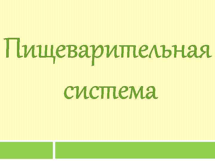 Пищеварительная система 