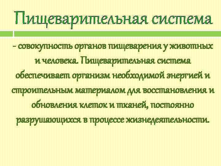 Пищеварительная система - совокупность органов пищеварения у животных и человека. Пищеварительная система обеспечивает организм