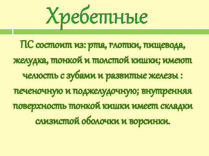 Хребетные ПС состоит из: рта, глотки, пищевода, желудка, тонкой и толстой кишки; имеют челюсть
