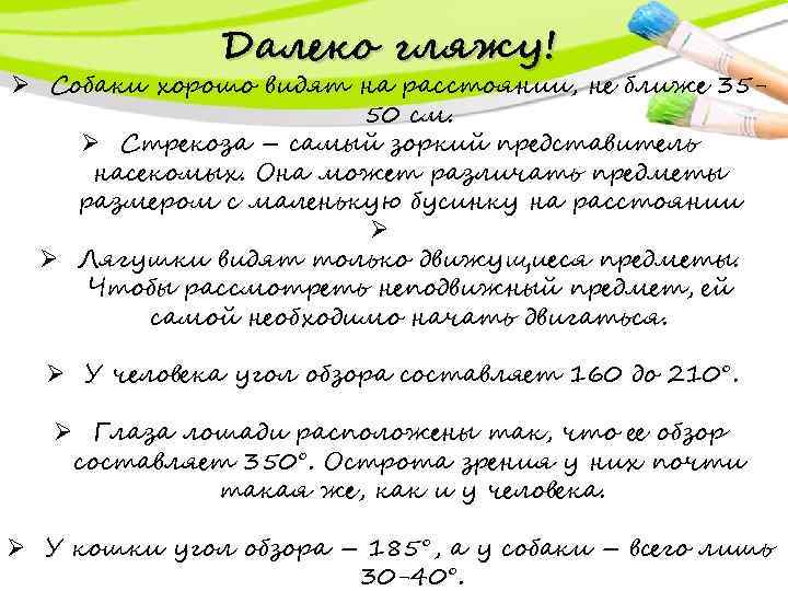 Далеко гляжу! Ø Собаки хорошо видят на расстоянии, не ближе 3550 см. Ø Стрекоза