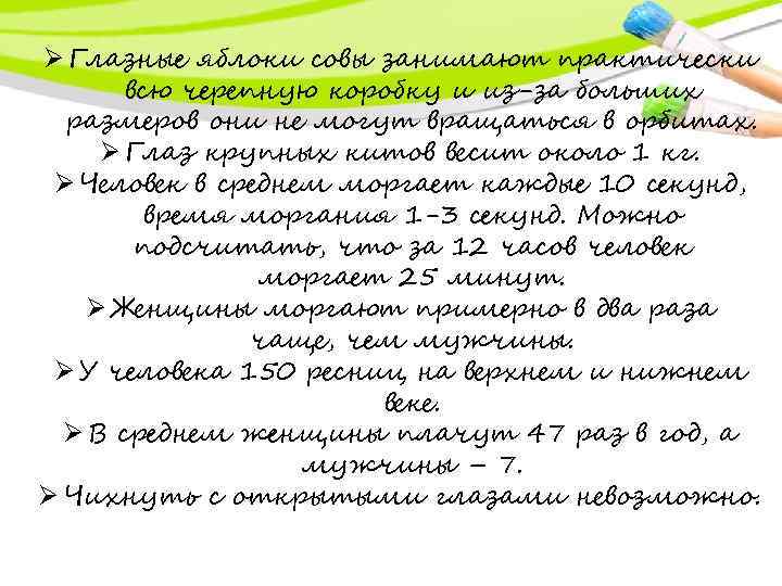 Ø Глазные яблоки совы занимают практически всю черепную коробку и из-за больших размеров они